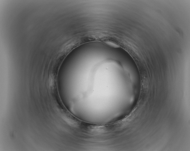 X0000111180132200907081243