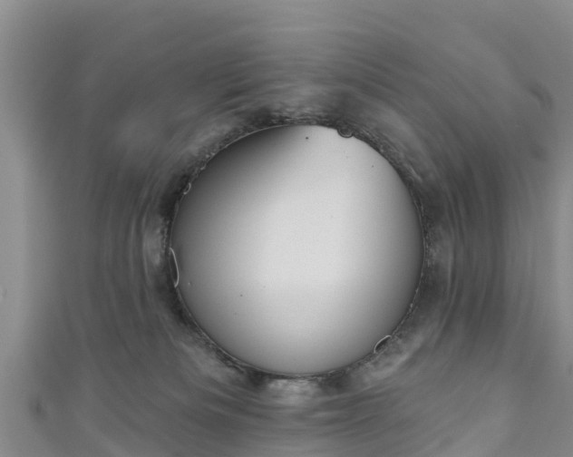 X0000111180133200907081243