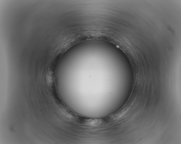 X0000111180135200907081243