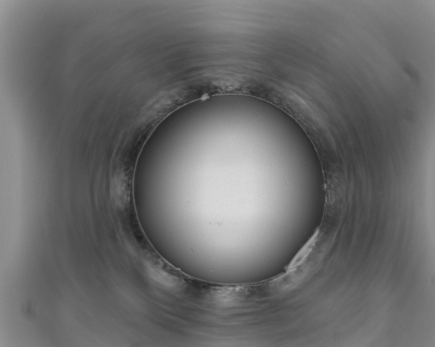 X0000111180136200907081243