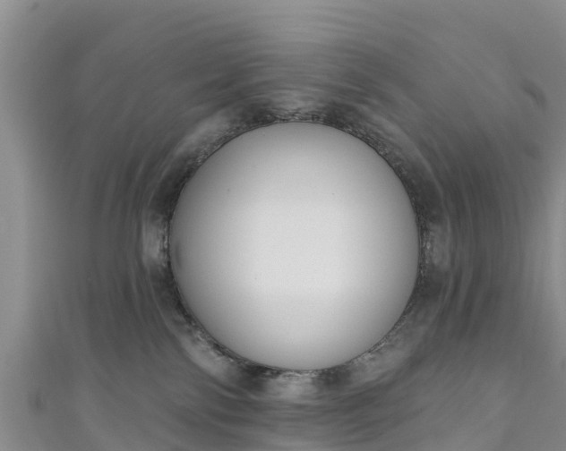 X0000111180138200907081243