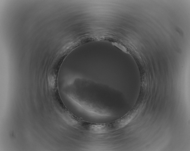 X0000111180139200907081243