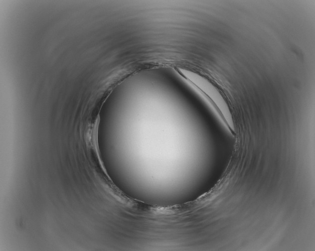 X0000111180141200907081243