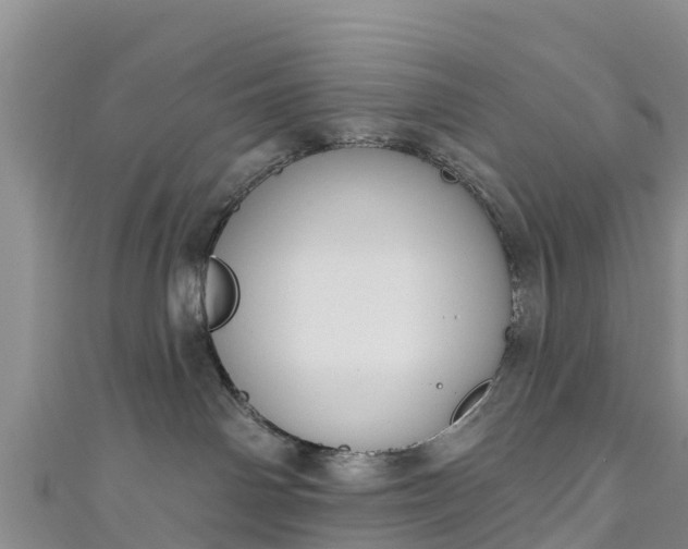 X0000111180142200907081243