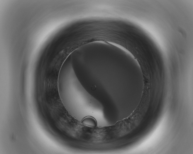 X0000111180143200907081243