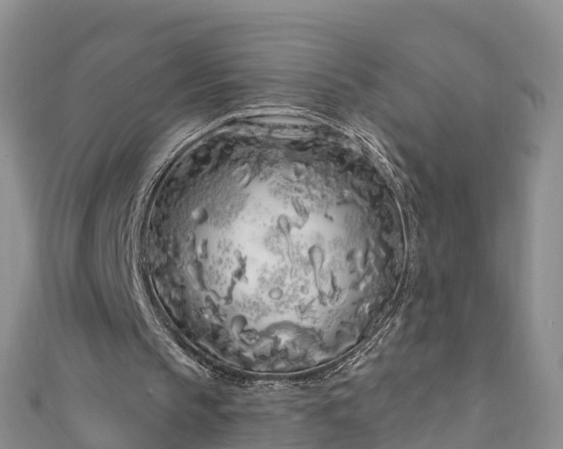 X0000111180145200907081242