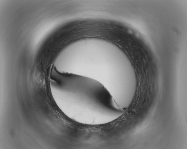 X0000111180146200907081242