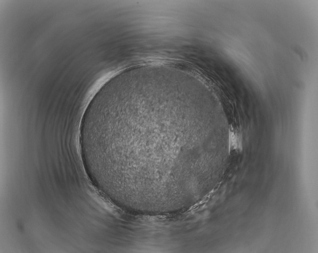 X0000111180147200907081242