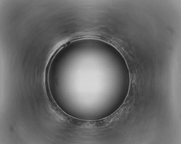 X0000111180148200907081242