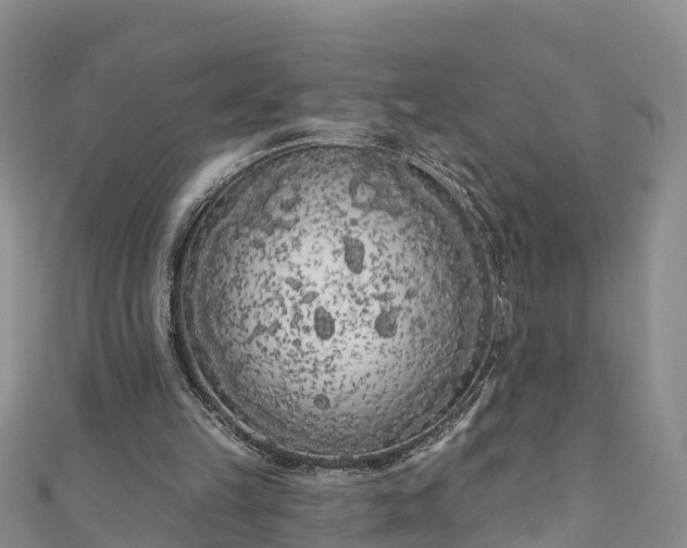 X0000111180149200907081242