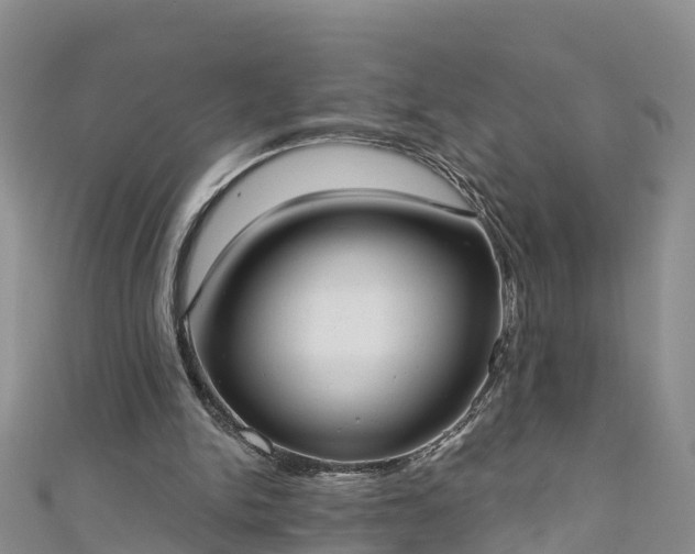 X0000111180150200907081242