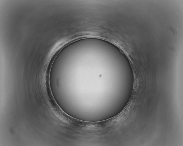 X0000111180151200907081242