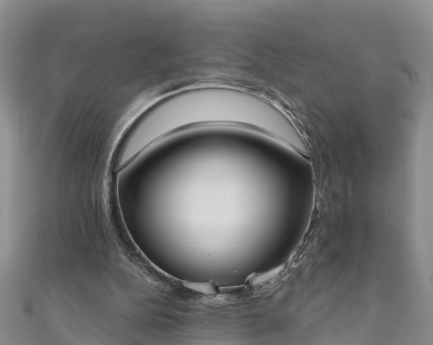 X0000111180152200907081242