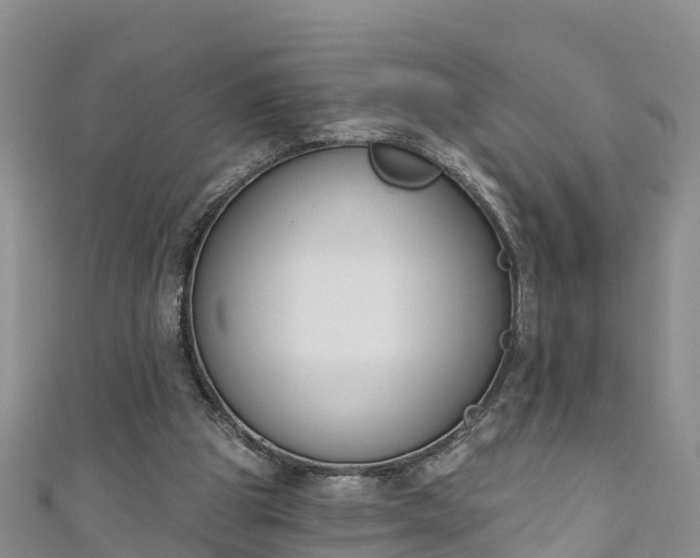 X0000111180153200907081242