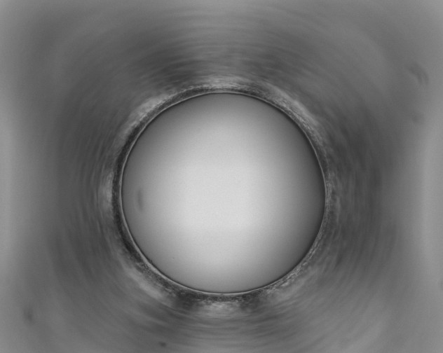 X0000111180155200907081243