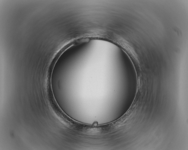 X0000111180156200907081243