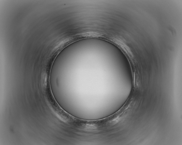 X0000111180157200907081243