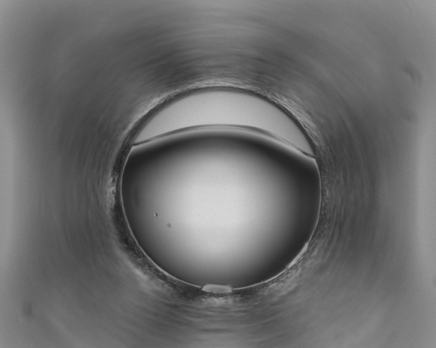 X0000111180160200907081243