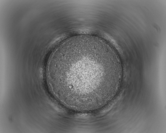 X0000111180161200907081243