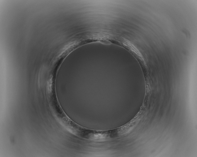 X0000111180163200907081243