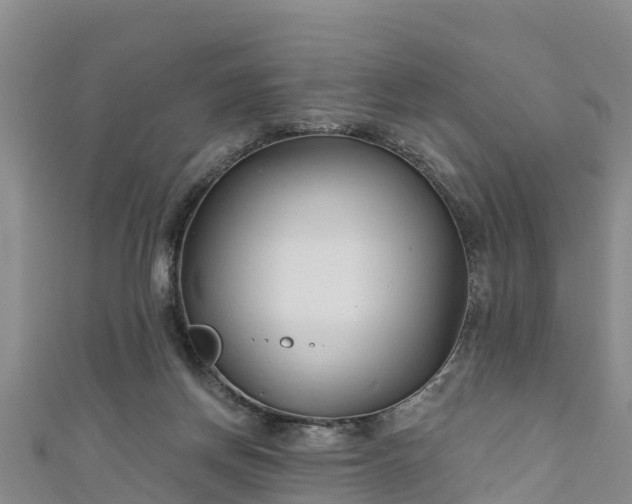 X0000111180166200907081243