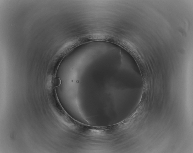 X0000111180167200907081243