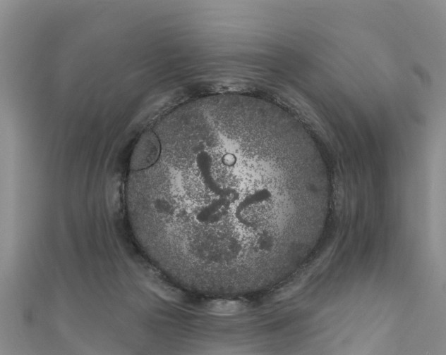 X0000111180169200907081243