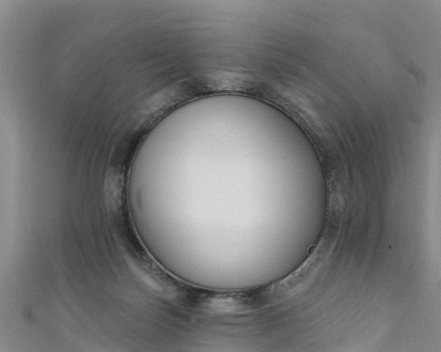 X0000111180171200907081243