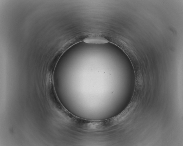 X0000111180172200907081243