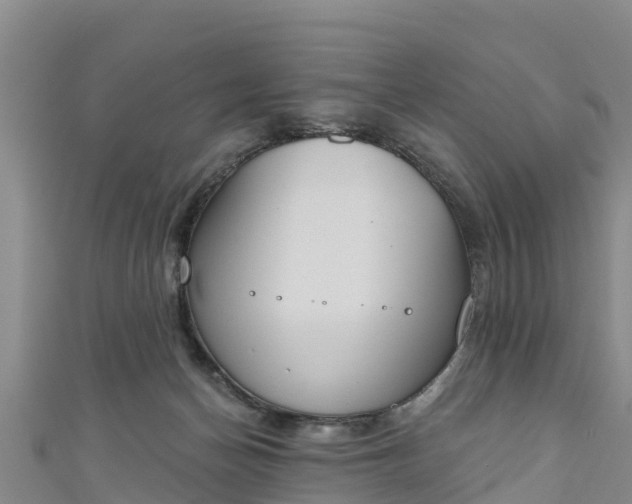 X0000111180174200907081243