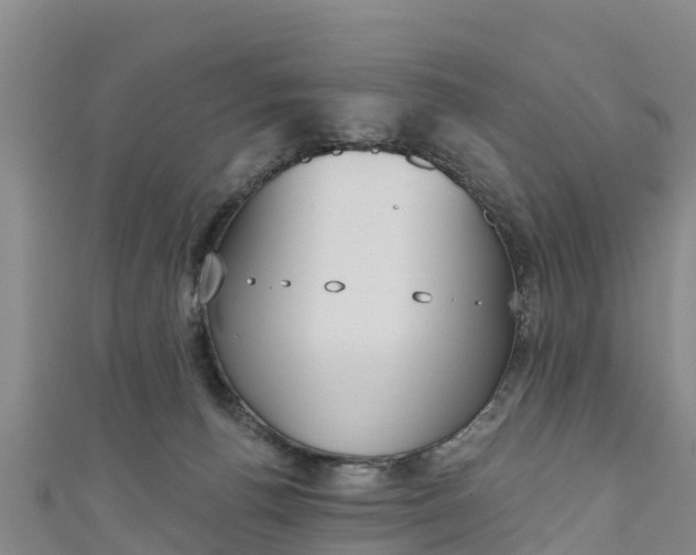 X0000111180176200907081243