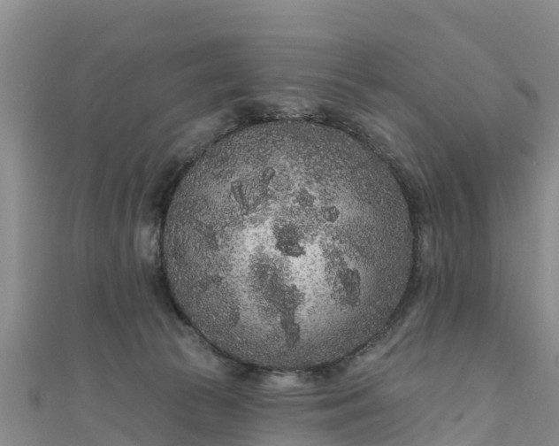 X0000111180177200907081243