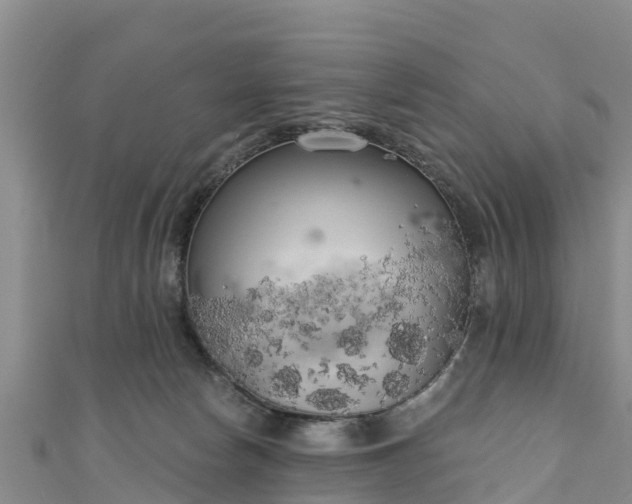 X0000111180178200907081243