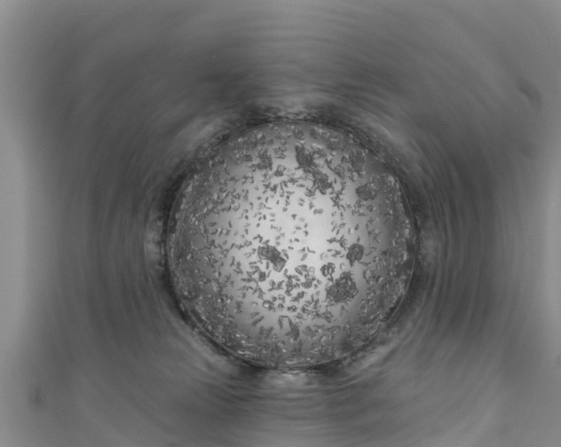 X0000111180181200907081243