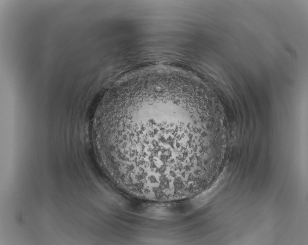 X0000111180182200907081243
