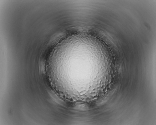 X0000111180185200907081243