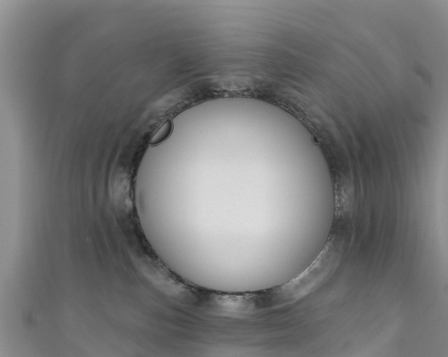 X0000111180187200907081243