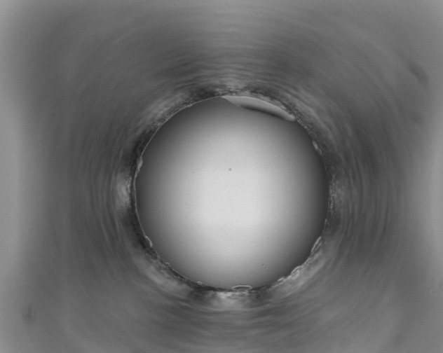 X0000111180188200907081243