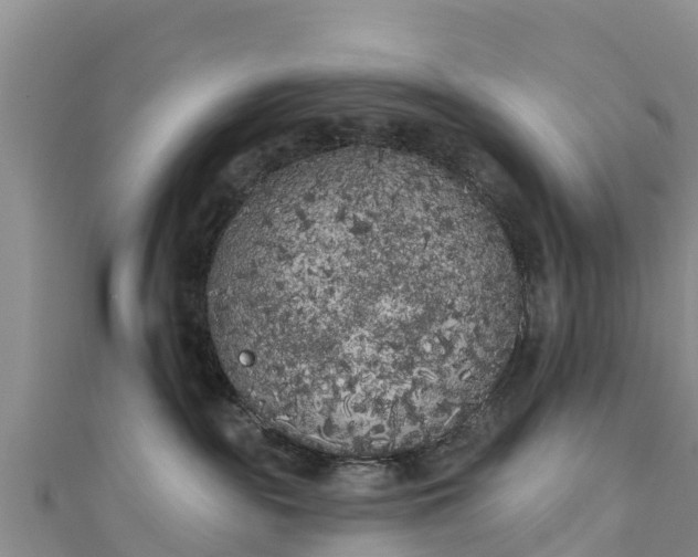 X0000111180189200907081243