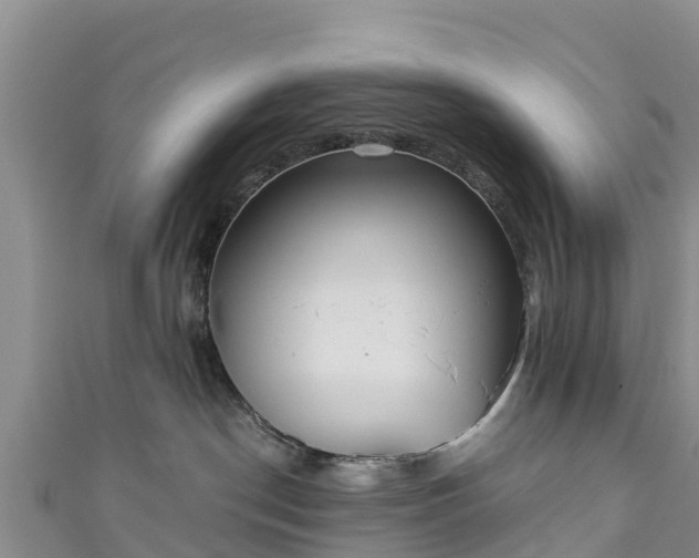 X0000111180190200907081243