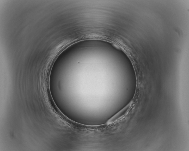 X0000111180193200907081242