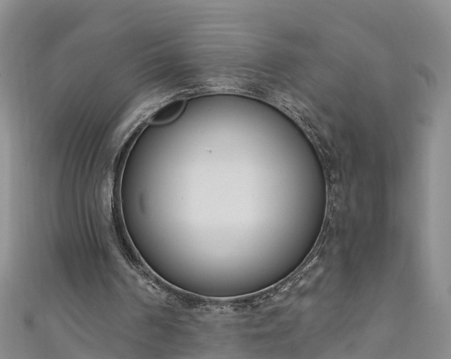 X0000111180194200907081242