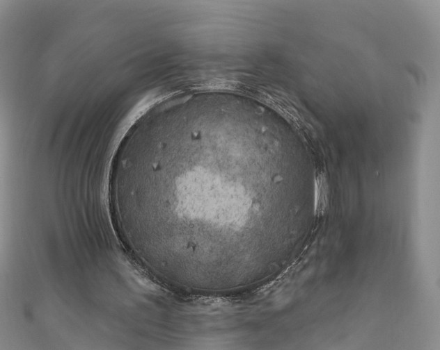 X0000111180195200907081242