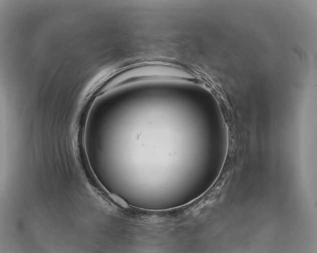 X0000111180197200907081242