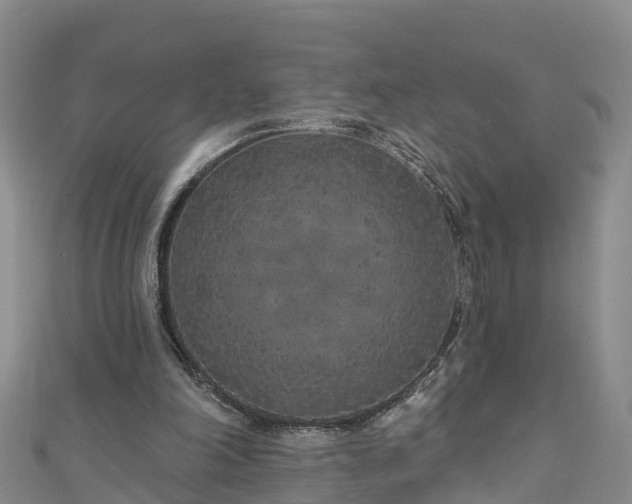 X0000111180198200907081242