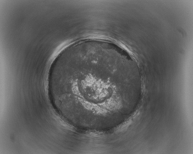 X0000111180199200907081242