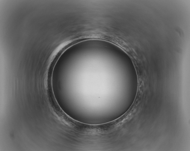 X0000111180200200907081242