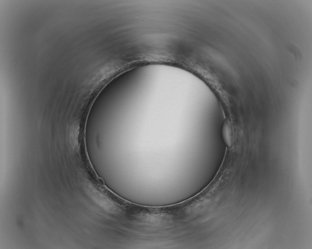 X0000111180201200907081242