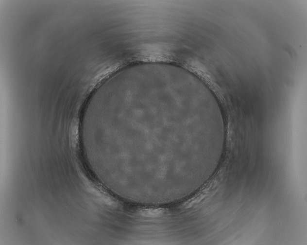 X0000111180202200907081242