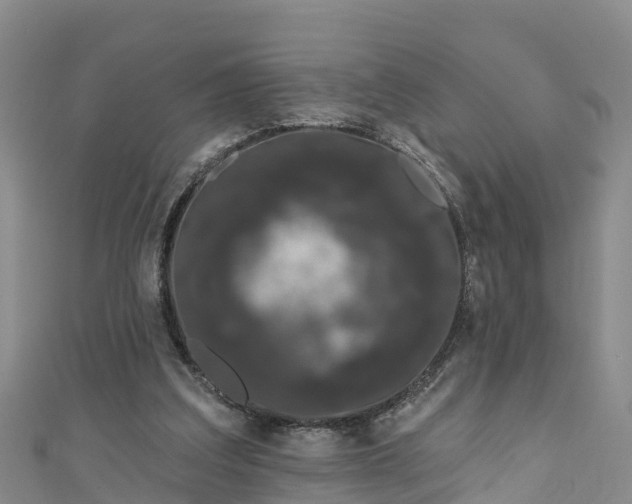 X0000111180203200907081242